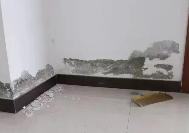 Teknik bangunan - Perbaikan pengelupasan beton