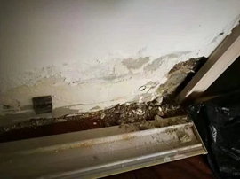 Perbaikan kebocoran dapur dan kamar mandi